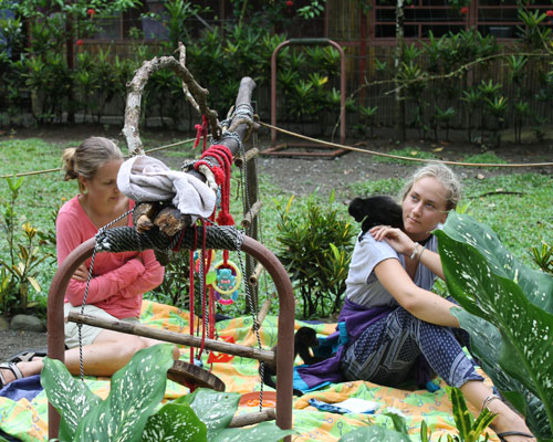 Animal rescue and liberation program thumbnail