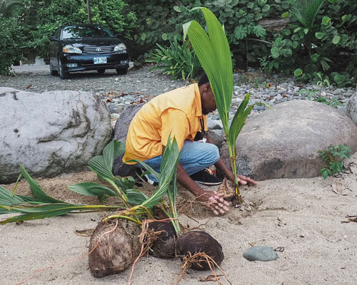 Environmental campaigns and sustainable development thumbnail