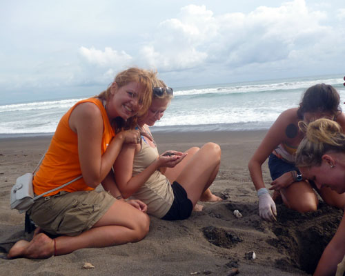 Sea Turtle Conservation thumbnail